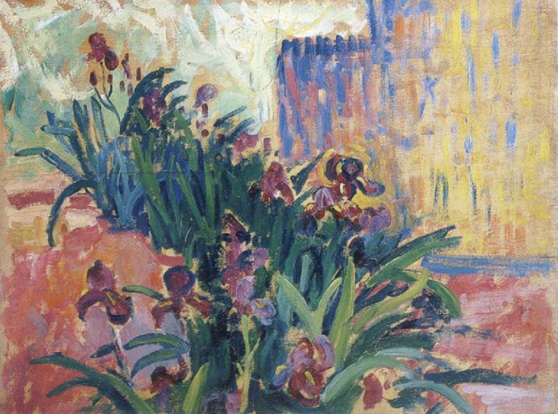 Paul Signac irises Sweden oil painting art